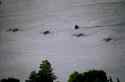 ONA2_Bill Inglis - 5