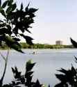 oNabout_BillInglis - 6