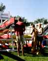 oNabout_BillInglis - 9