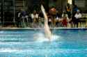 Diving_Robert Phipps - 15