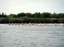 Rowing_Brenda Desnoyers - 03